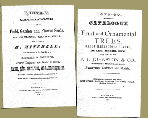 Mitchell & Johnson seed catalogues