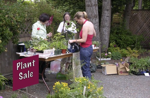 Plant Sale Volunteers