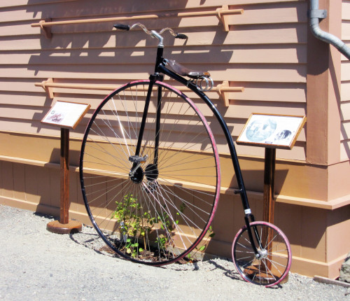 Ross Bay Garden Party 2015 Penny Farthing on display from Russ Hay's Bicycle Shop